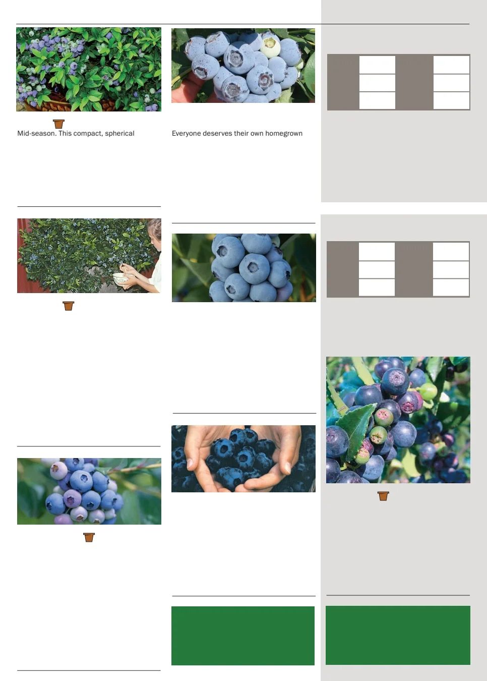 Territorial Seed Spring Catalog Weekly Ad January 1 - September 30, 2026