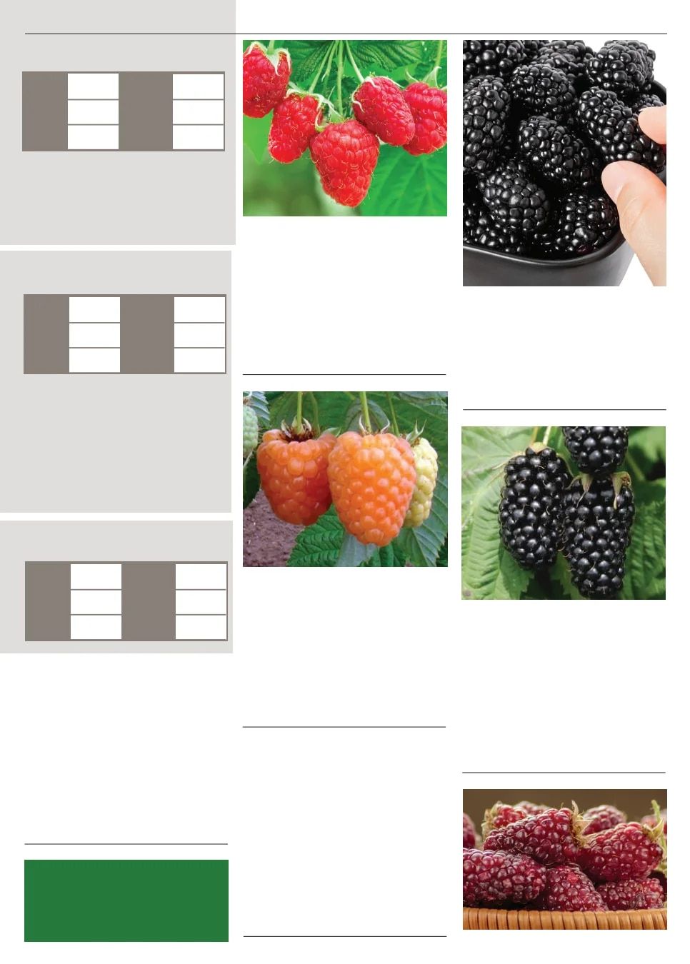 Territorial Seed Spring Catalog Weekly Ad January 1 - September 30, 2026