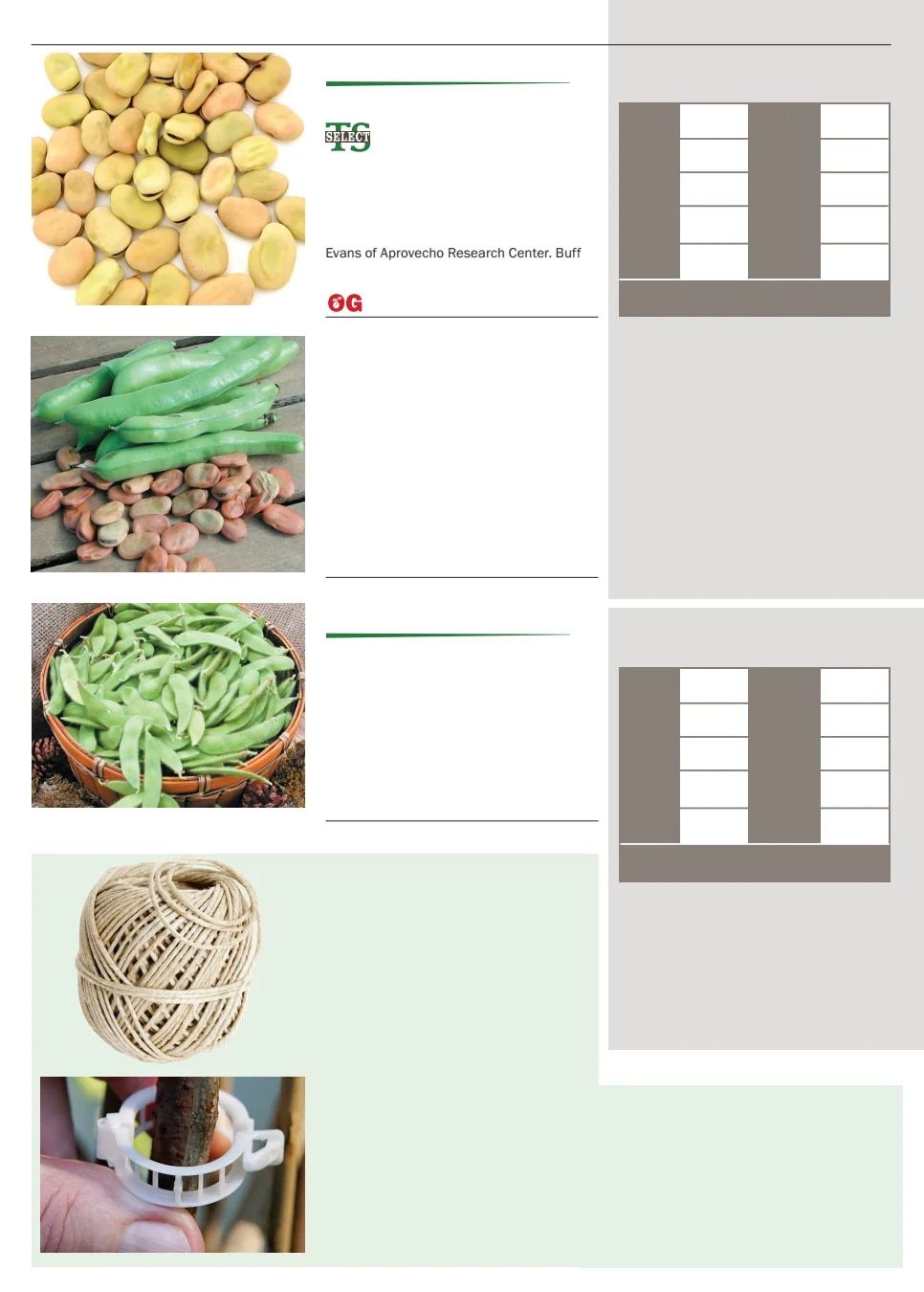 Territorial Seed Spring Catalog Weekly Ad January 1 - September 30, 2026