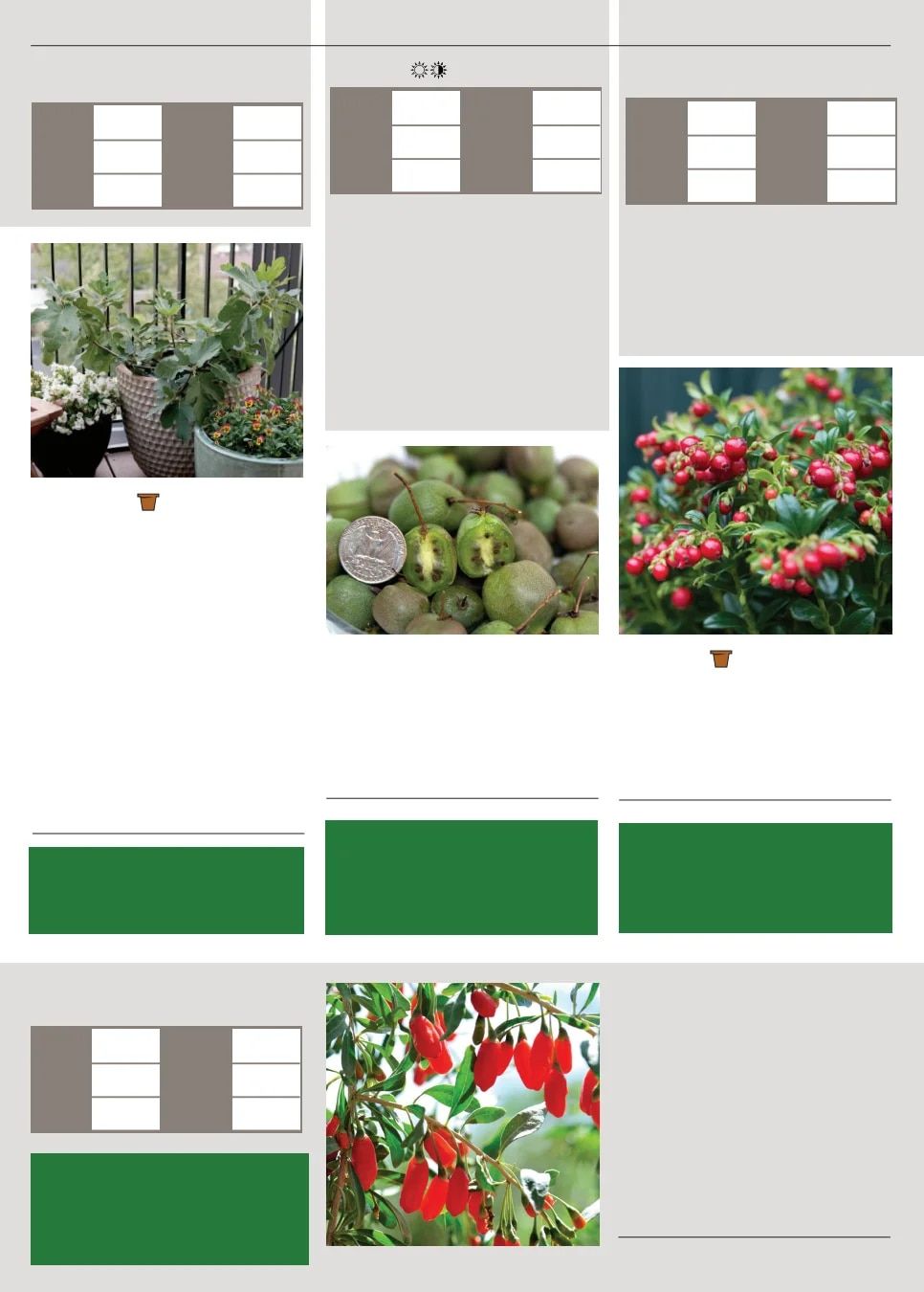 Territorial Seed Spring Catalog Weekly Ad January 1 - September 30, 2026