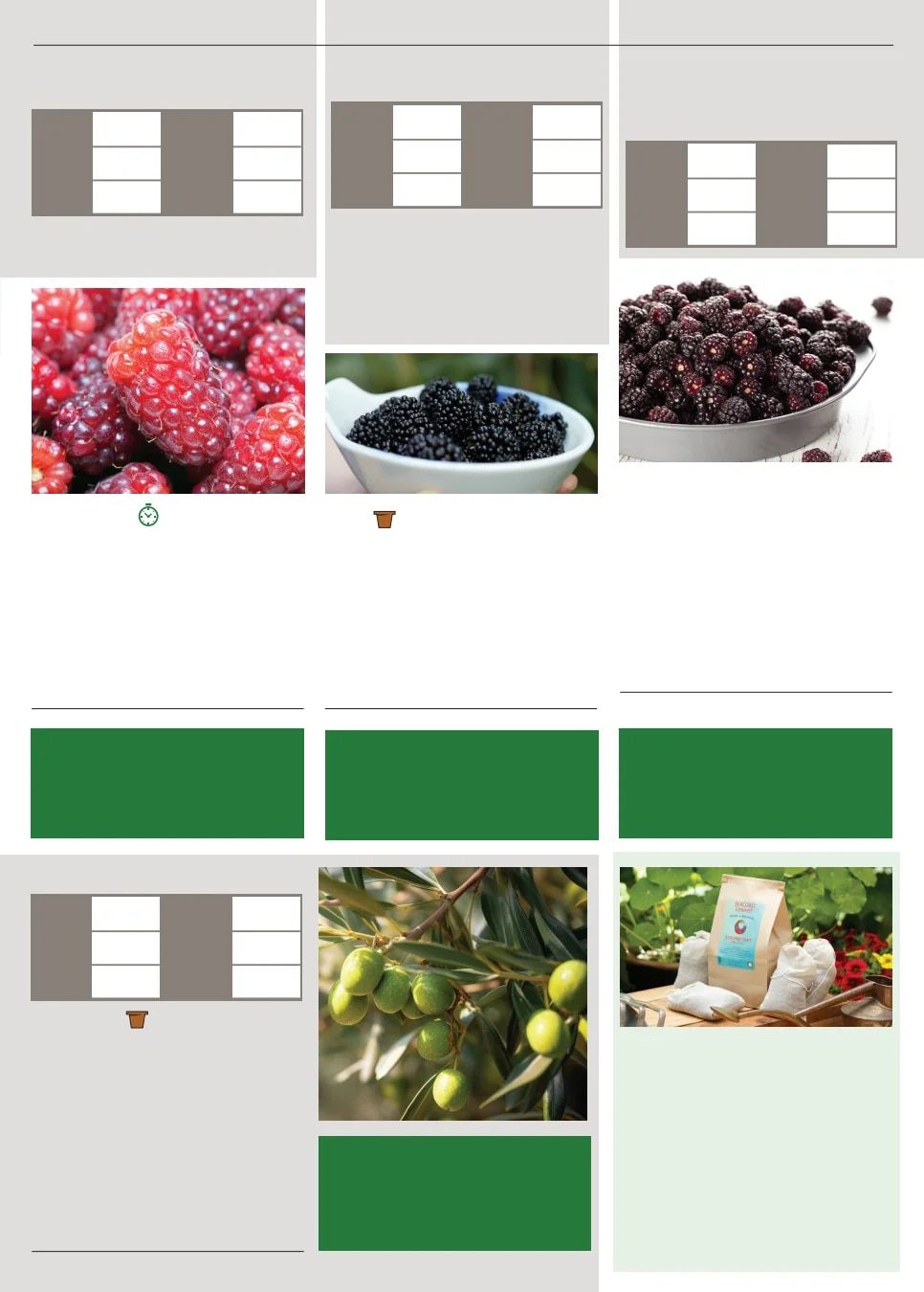 Territorial Seed Spring Catalog Weekly Ad January 1 - September 30, 2026
