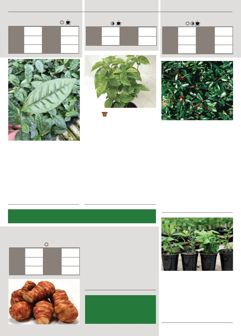 Territorial Seed Spring Catalog Weekly Ad January 1 - September 30, 2026