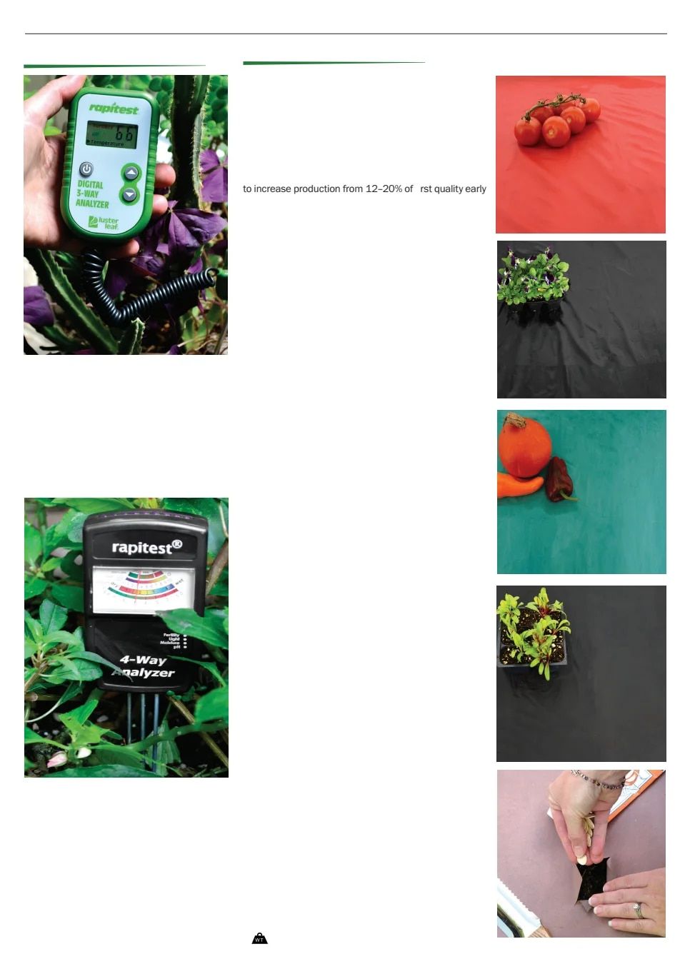 Territorial Seed Spring Catalog Weekly Ad January 1 - September 30, 2026