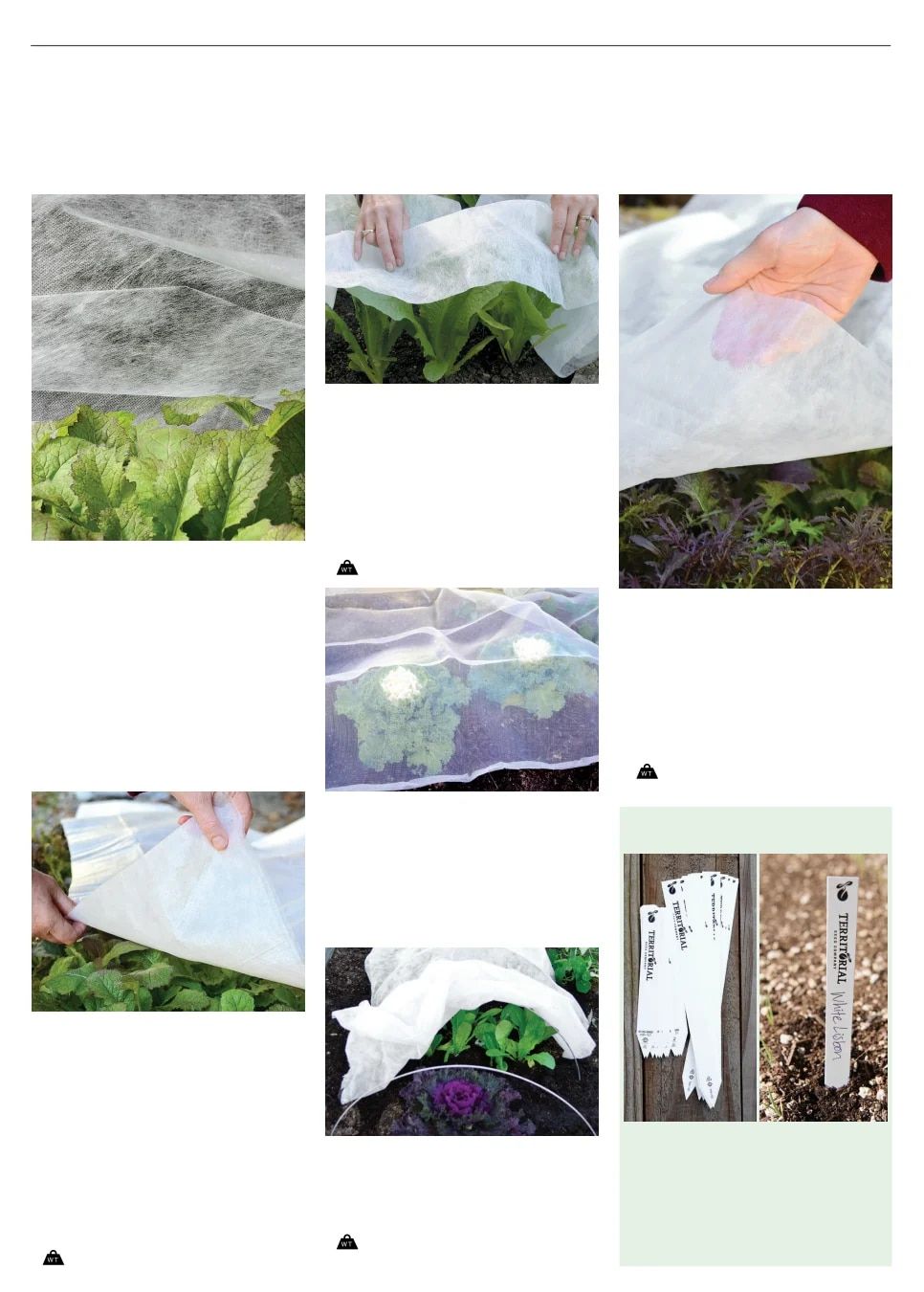 Territorial Seed Spring Catalog Weekly Ad January 1 - September 30, 2026