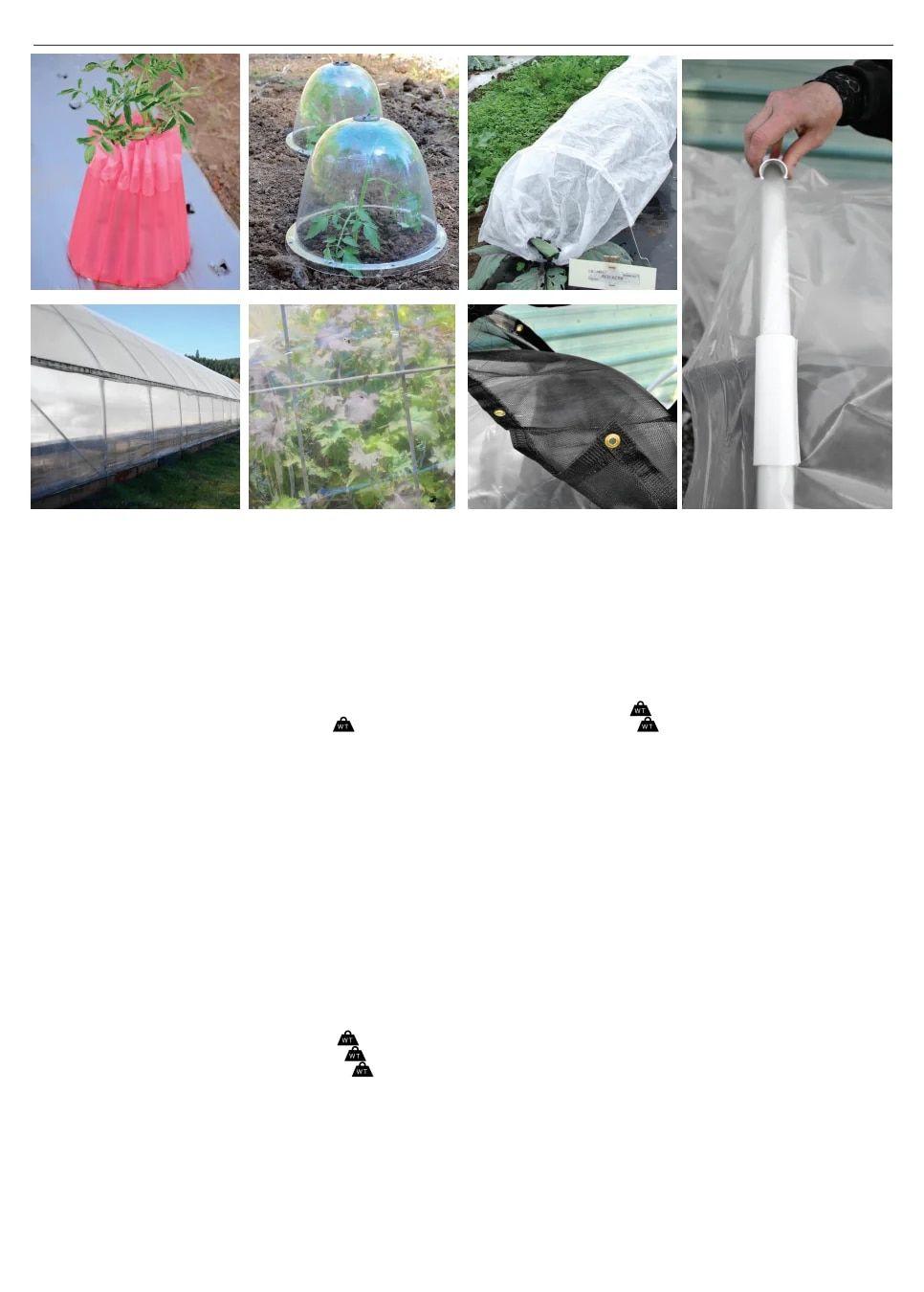 Territorial Seed Spring Catalog Weekly Ad January 1 - September 30, 2026