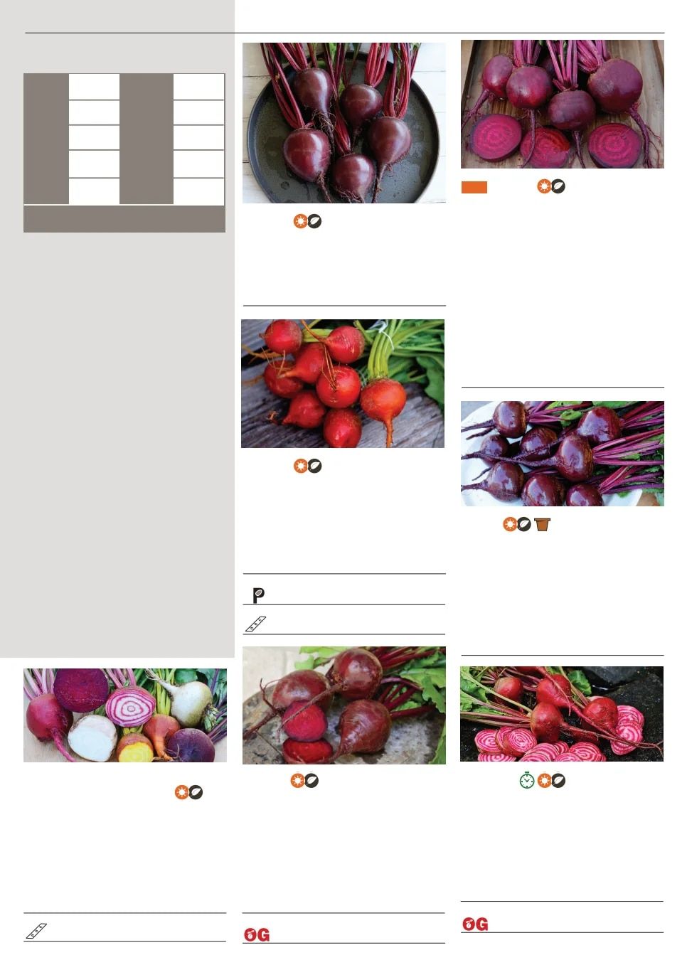 Territorial Seed Spring Catalog Weekly Ad January 1 - September 30, 2026
