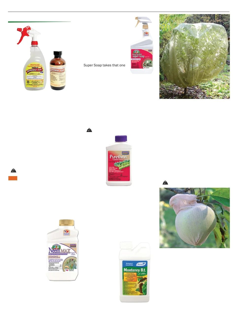 Territorial Seed Spring Catalog Weekly Ad January 1 - September 30, 2026