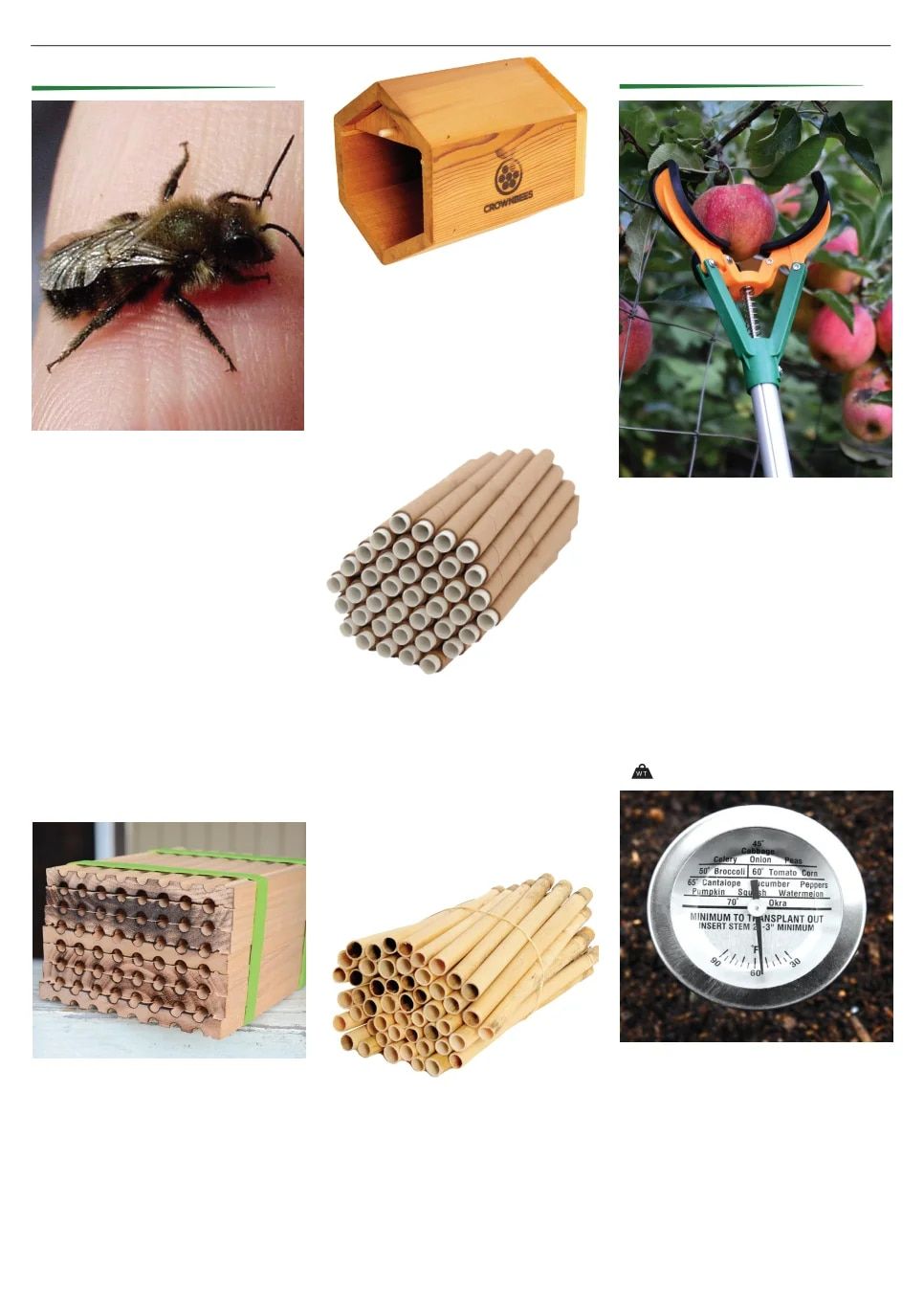 Territorial Seed Spring Catalog Weekly Ad January 1 - September 30, 2026