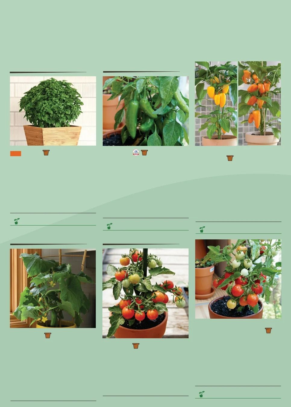 Territorial Seed Spring Catalog Weekly Ad January 1 - September 30, 2026