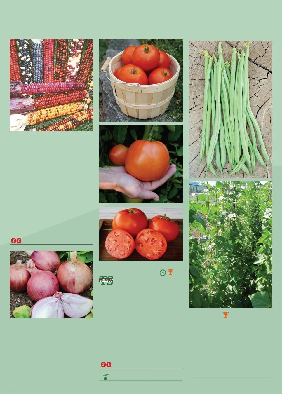 Territorial Seed Spring Catalog Weekly Ad January 1 - September 30, 2026