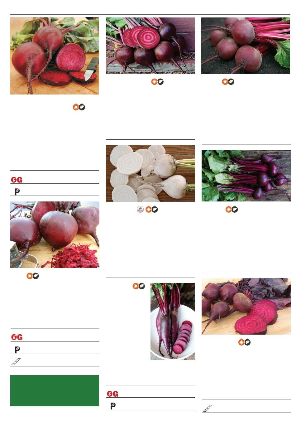 Territorial Seed Spring Catalog Weekly Ad January 1 - September 30, 2026