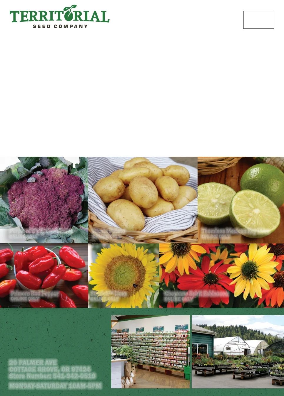 Territorial Seed Spring Catalog Weekly Ad January 1 - September 30, 2026