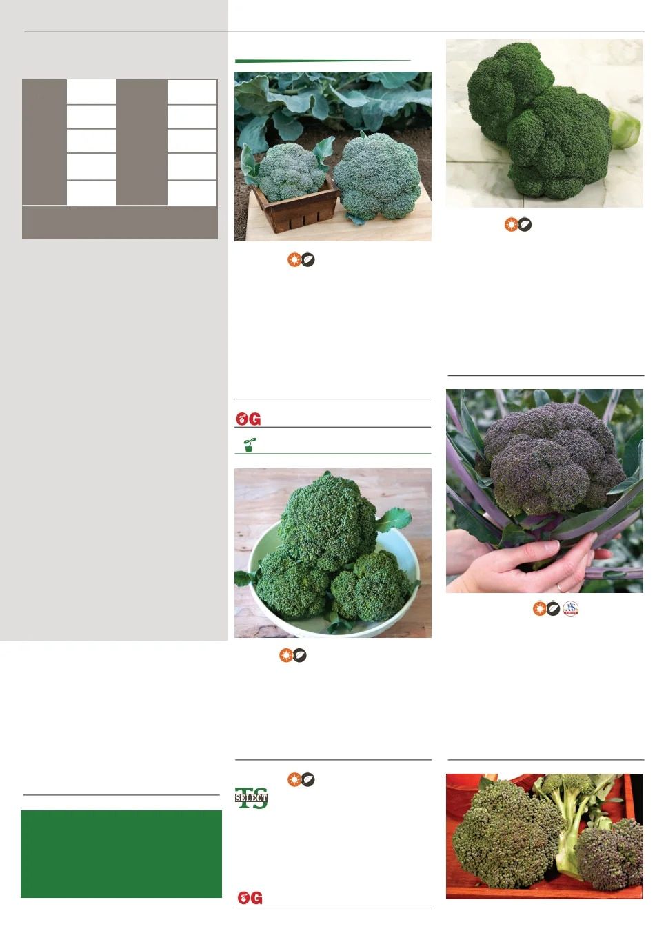 Territorial Seed Spring Catalog Weekly Ad January 1 - September 30, 2026