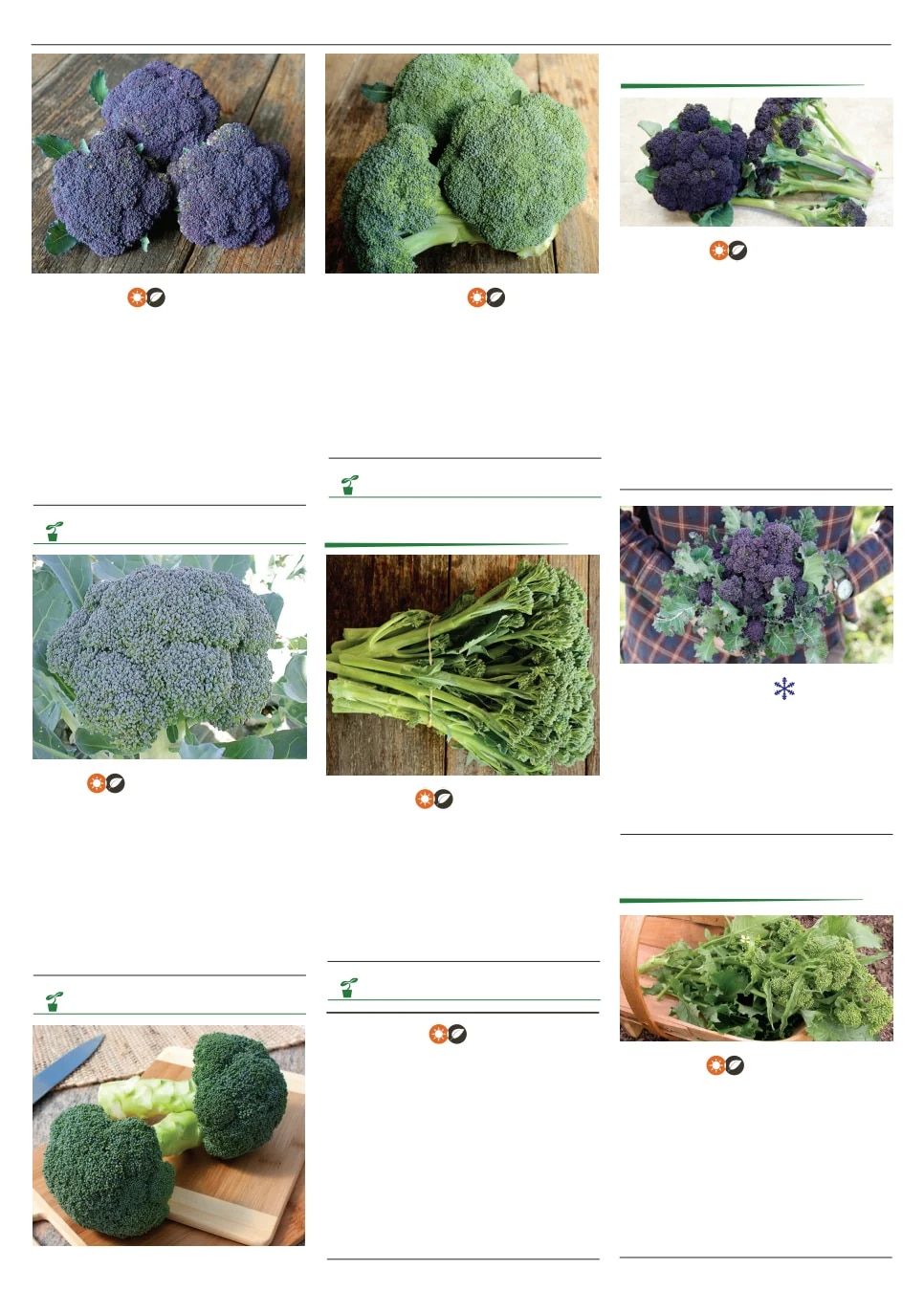 Territorial Seed Spring Catalog Weekly Ad January 1 - September 30, 2026