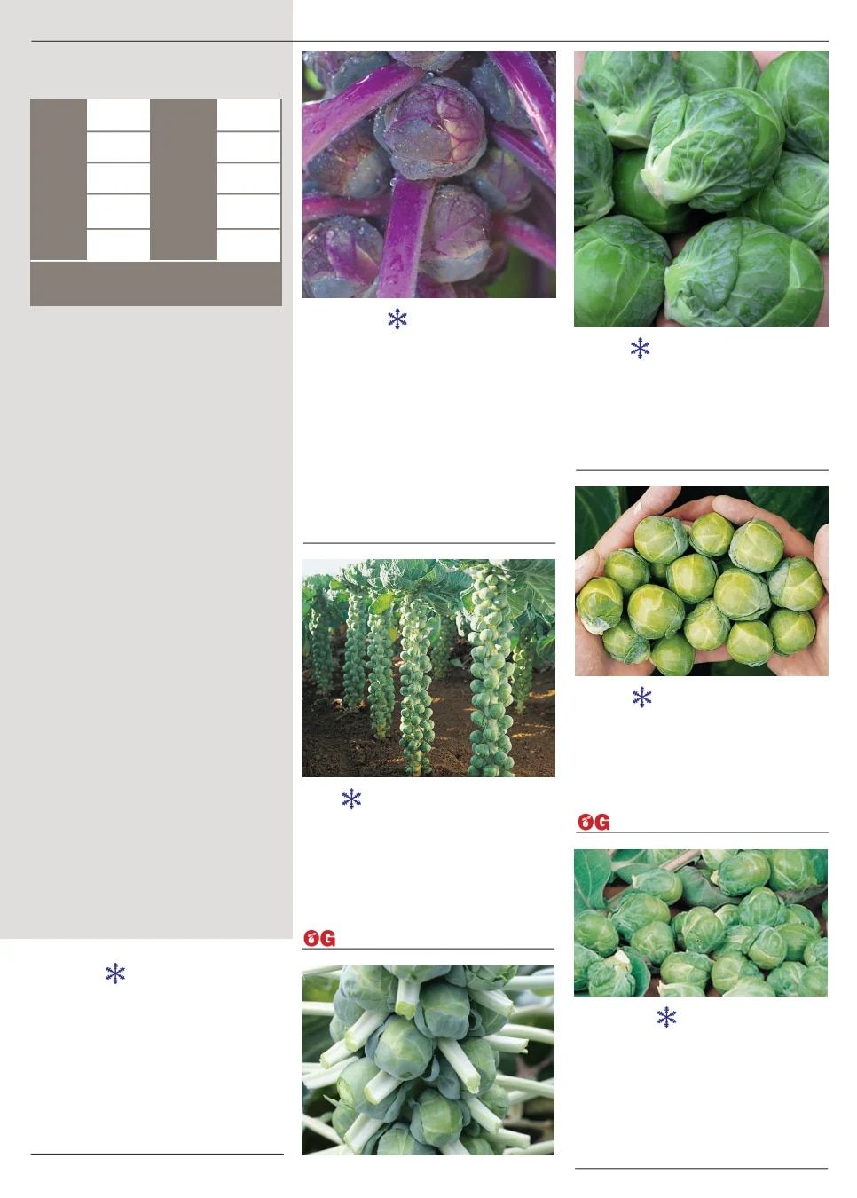 Territorial Seed Spring Catalog Weekly Ad January 1 - September 30, 2026