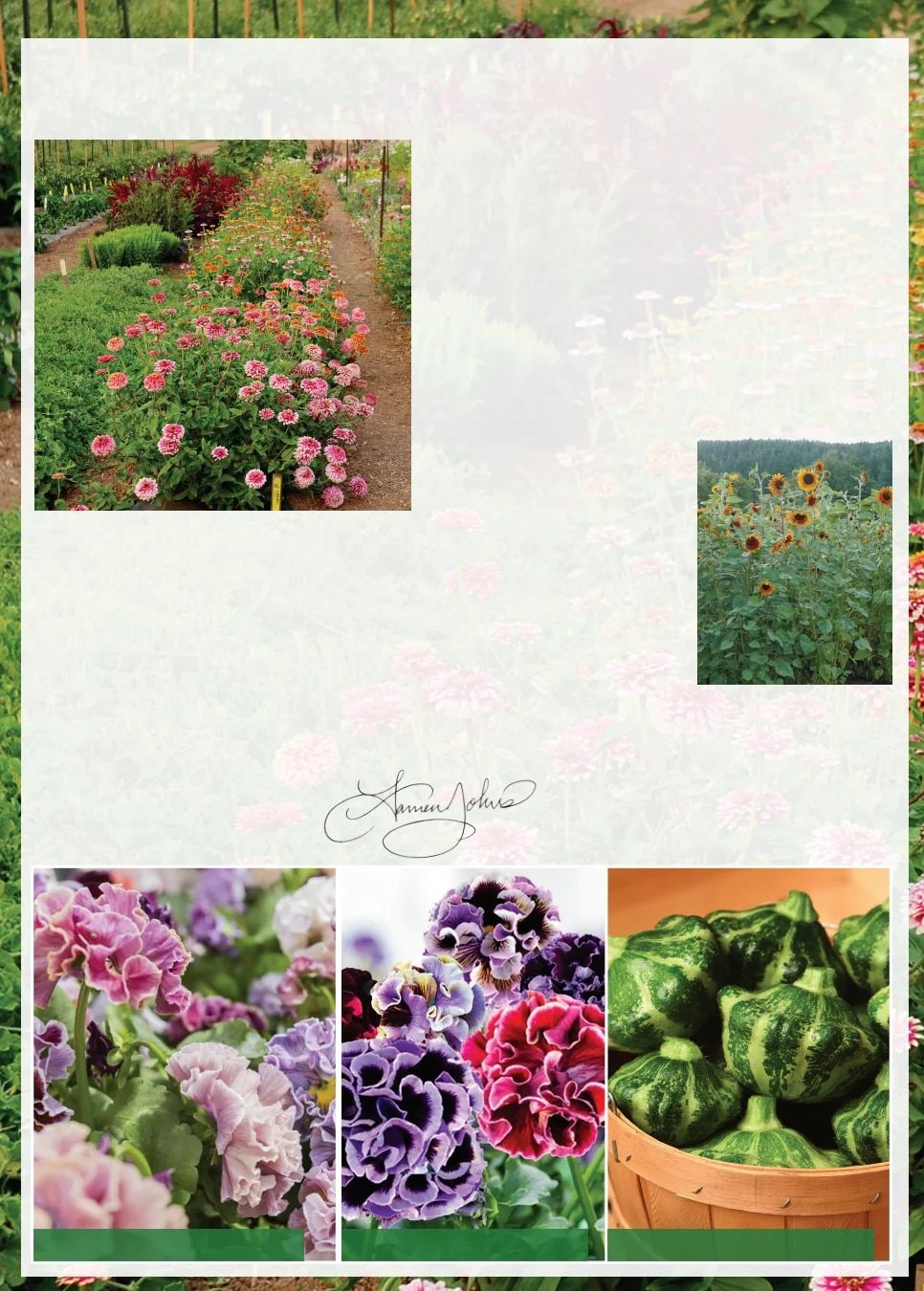 Territorial Seed Spring Catalog Weekly Ad January 1 - September 30, 2026