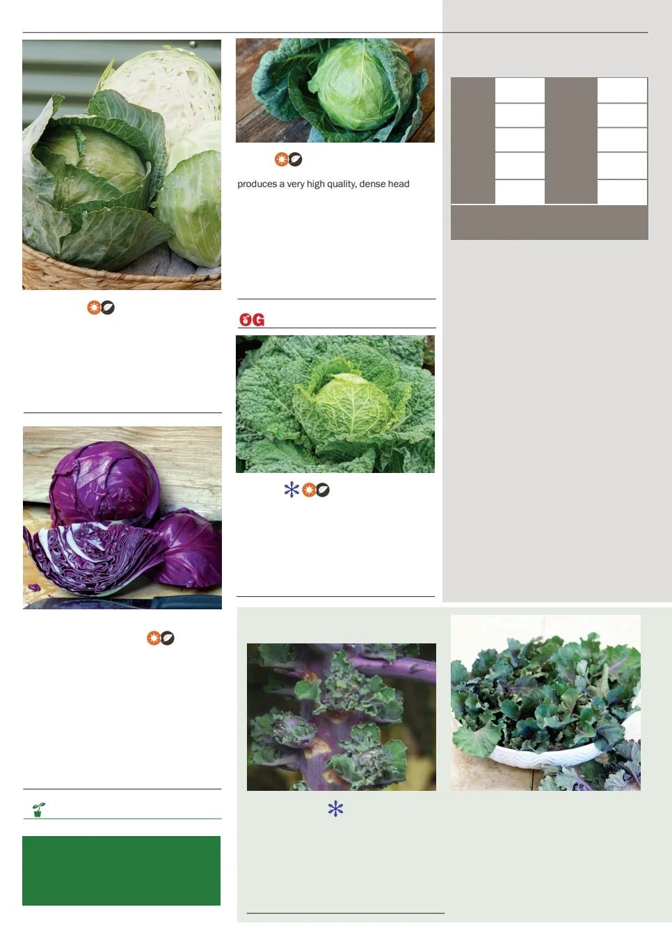 Territorial Seed Spring Catalog Weekly Ad January 1 - September 30, 2026