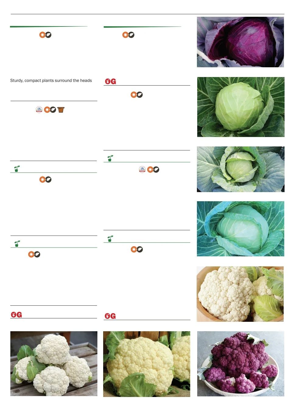 Territorial Seed Spring Catalog Weekly Ad January 1 - September 30, 2026