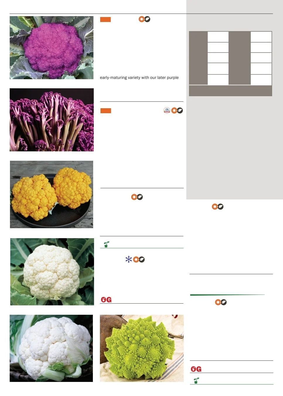 Territorial Seed Spring Catalog Weekly Ad January 1 - September 30, 2026