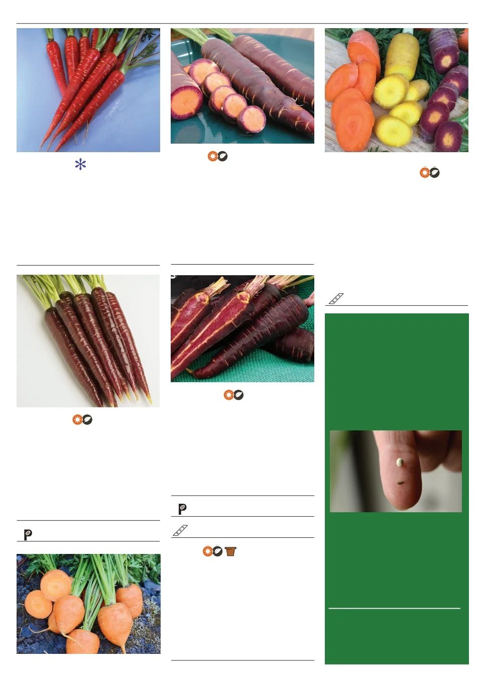 Territorial Seed Spring Catalog Weekly Ad January 1 - September 30, 2026