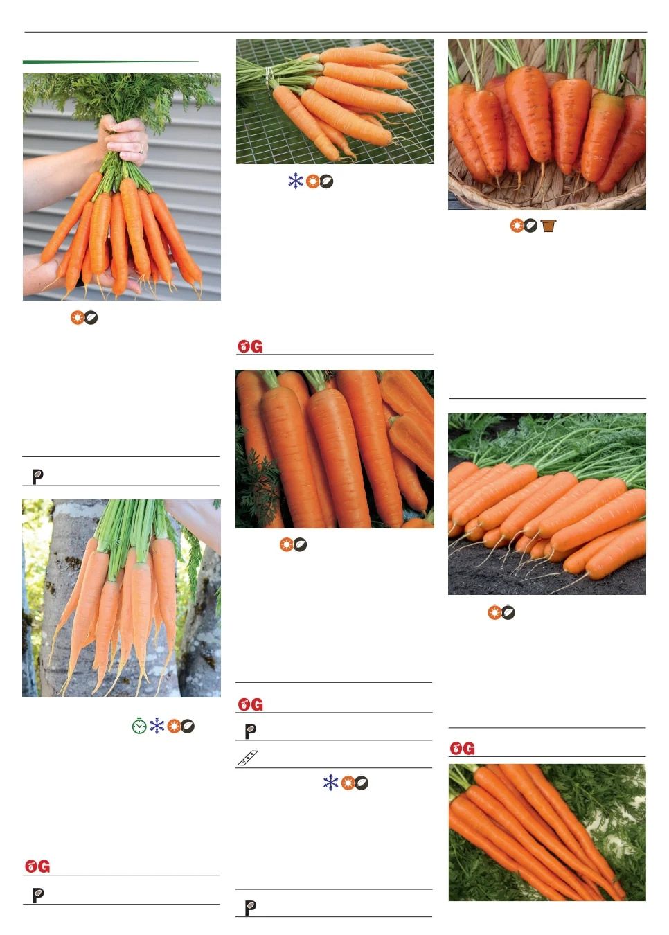 Territorial Seed Spring Catalog Weekly Ad January 1 - September 30, 2026