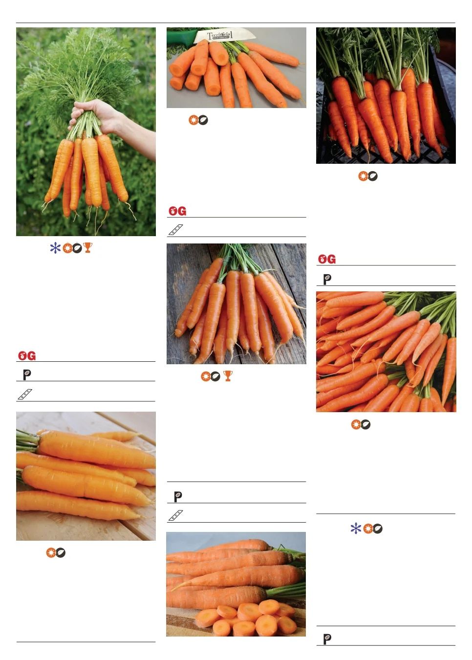 Territorial Seed Spring Catalog Weekly Ad January 1 - September 30, 2026