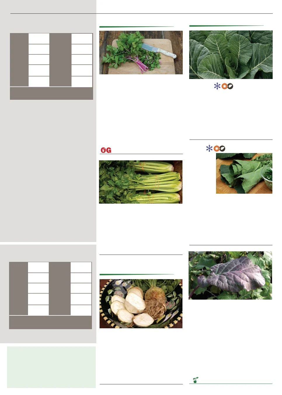 Territorial Seed Spring Catalog Weekly Ad January 1 - September 30, 2026