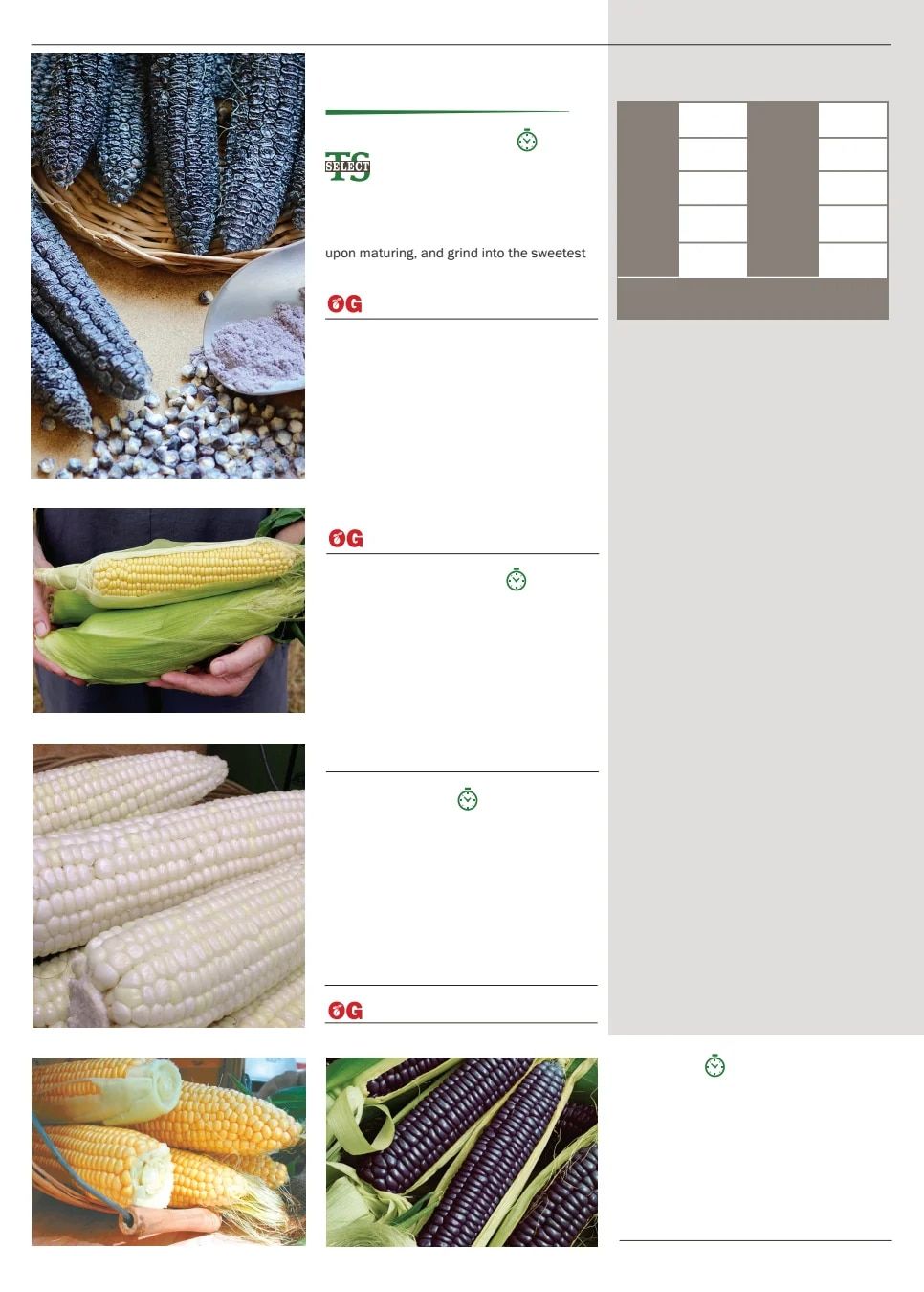 Territorial Seed Spring Catalog Weekly Ad January 1 - September 30, 2026