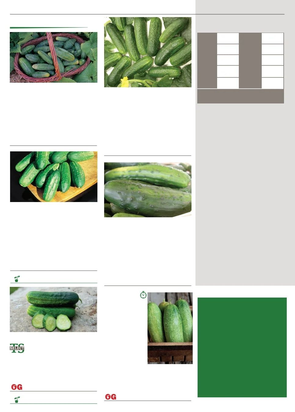 Territorial Seed Spring Catalog Weekly Ad January 1 - September 30, 2026