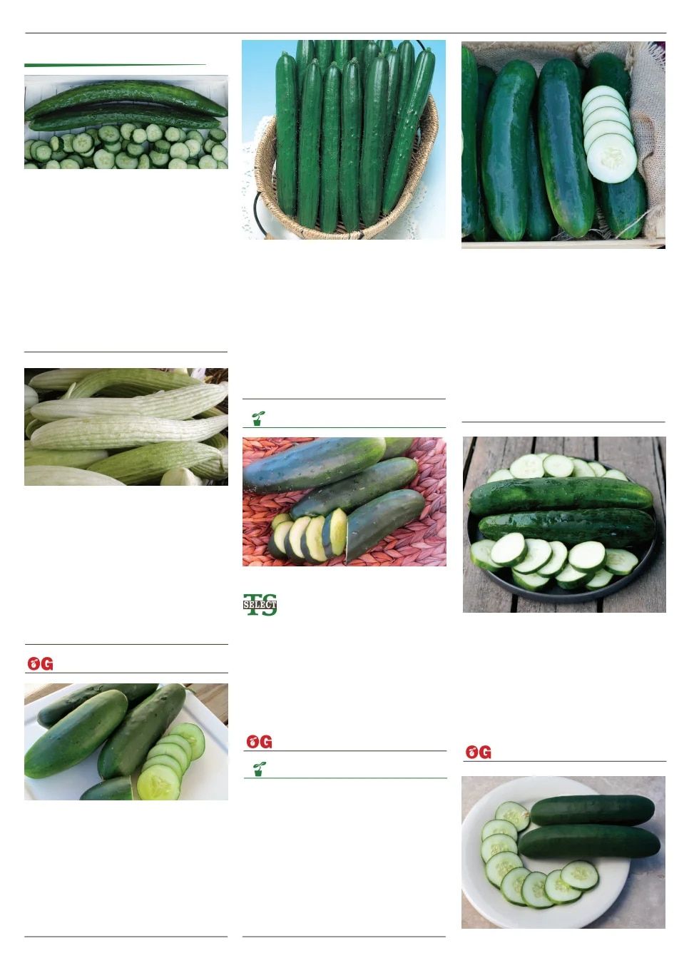 Territorial Seed Spring Catalog Weekly Ad January 1 - September 30, 2026