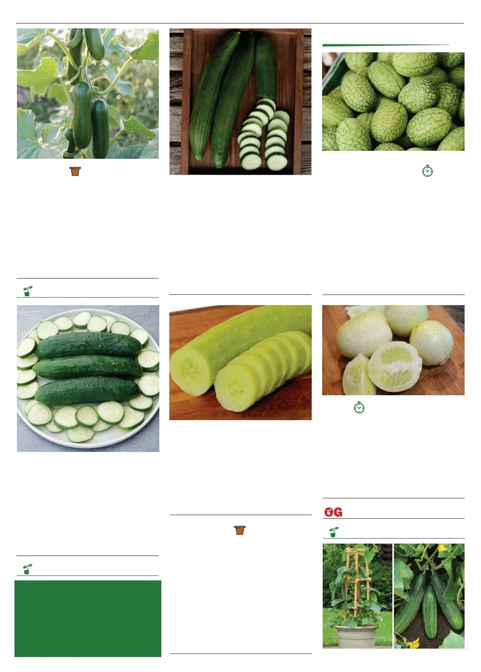 Territorial Seed Spring Catalog Weekly Ad January 1 - September 30, 2026