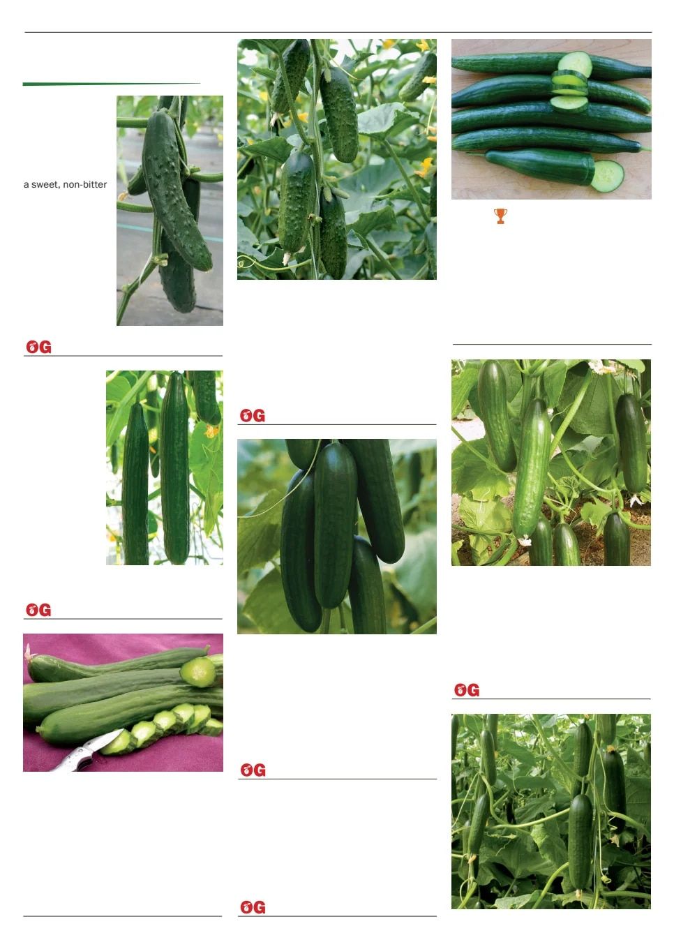 Territorial Seed Spring Catalog Weekly Ad January 1 - September 30, 2026