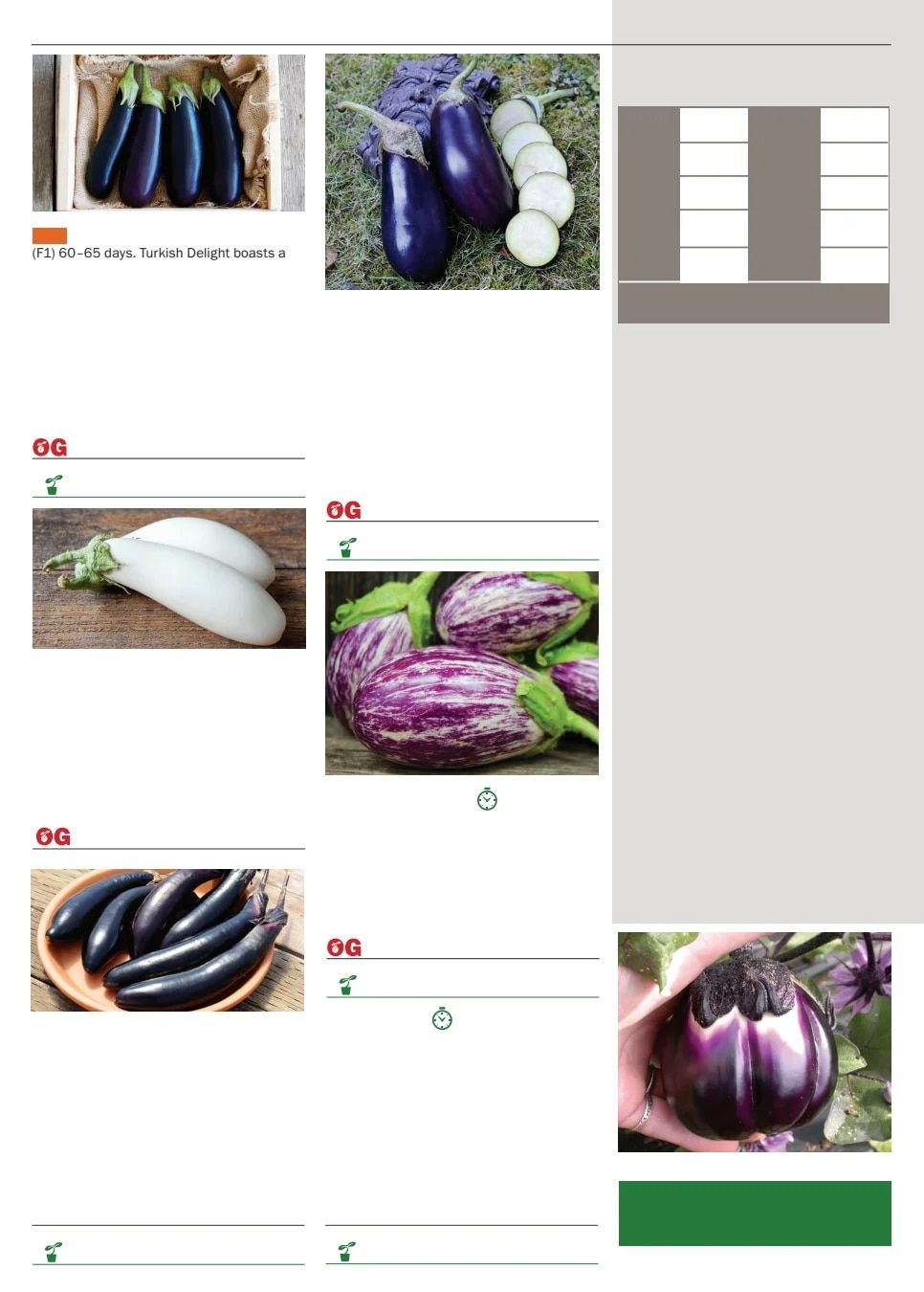 Territorial Seed Spring Catalog Weekly Ad January 1 - September 30, 2026