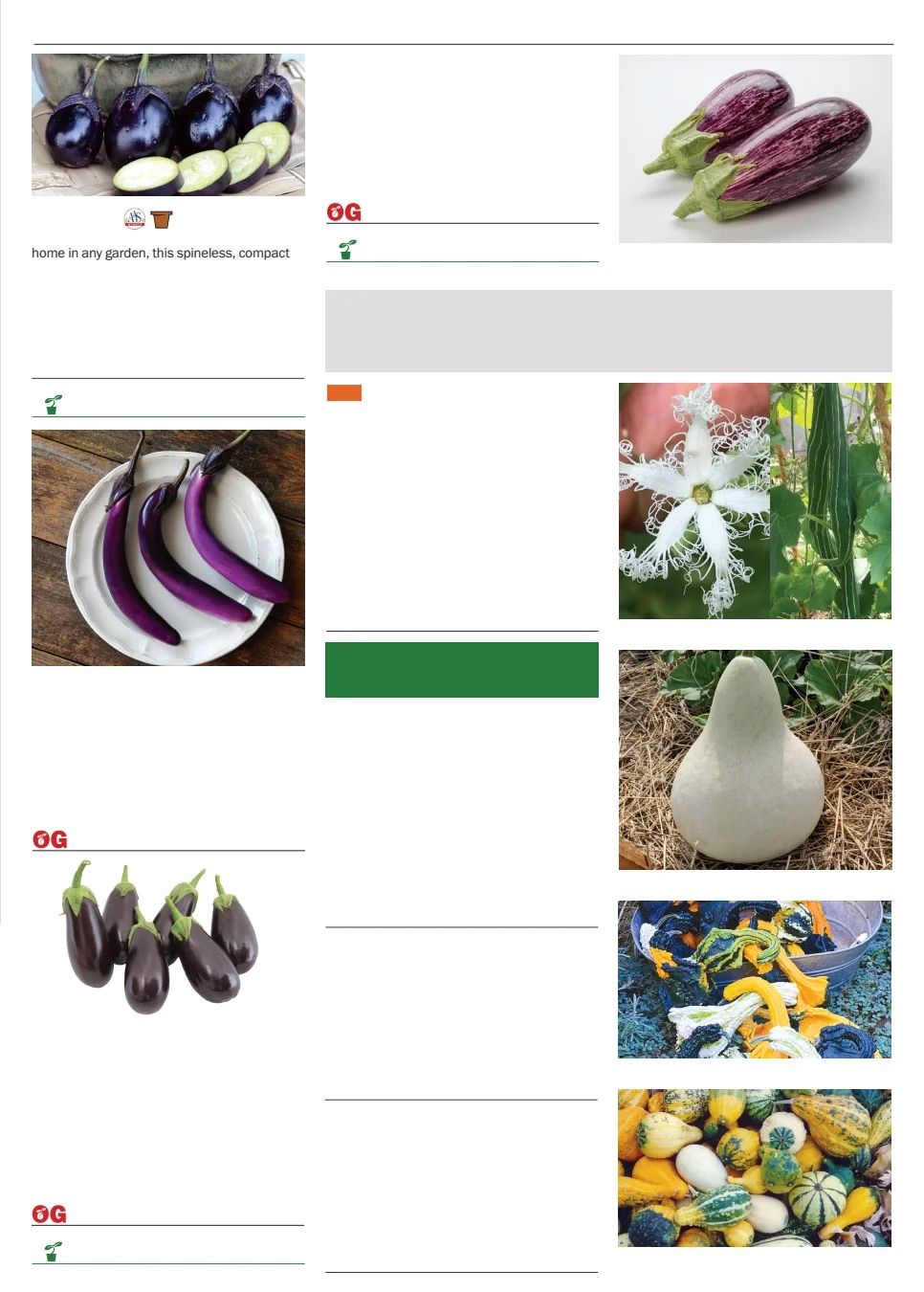 Territorial Seed Spring Catalog Weekly Ad January 1 - September 30, 2026