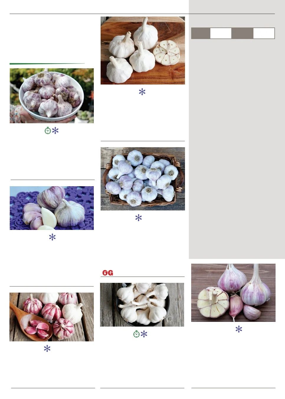 Territorial Seed Spring Catalog Weekly Ad January 1 - September 30, 2026