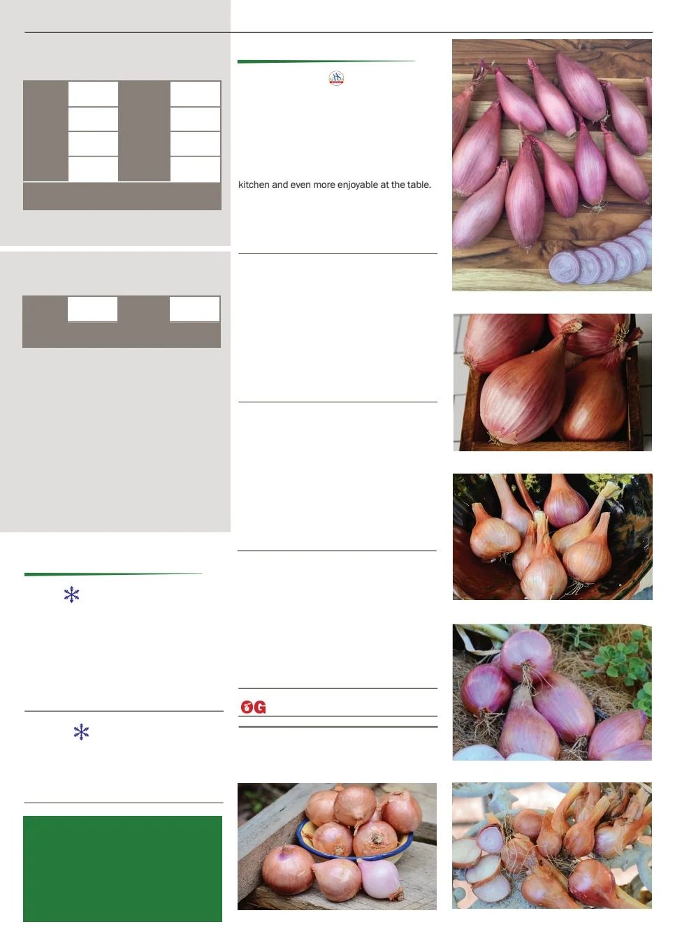 Territorial Seed Spring Catalog Weekly Ad January 1 - September 30, 2026