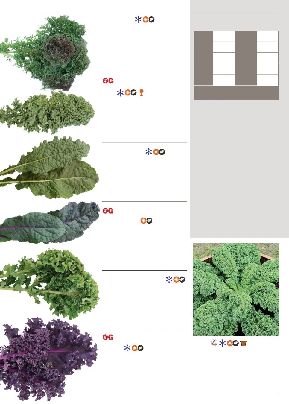 Territorial Seed Spring Catalog Weekly Ad January 1 - September 30, 2026