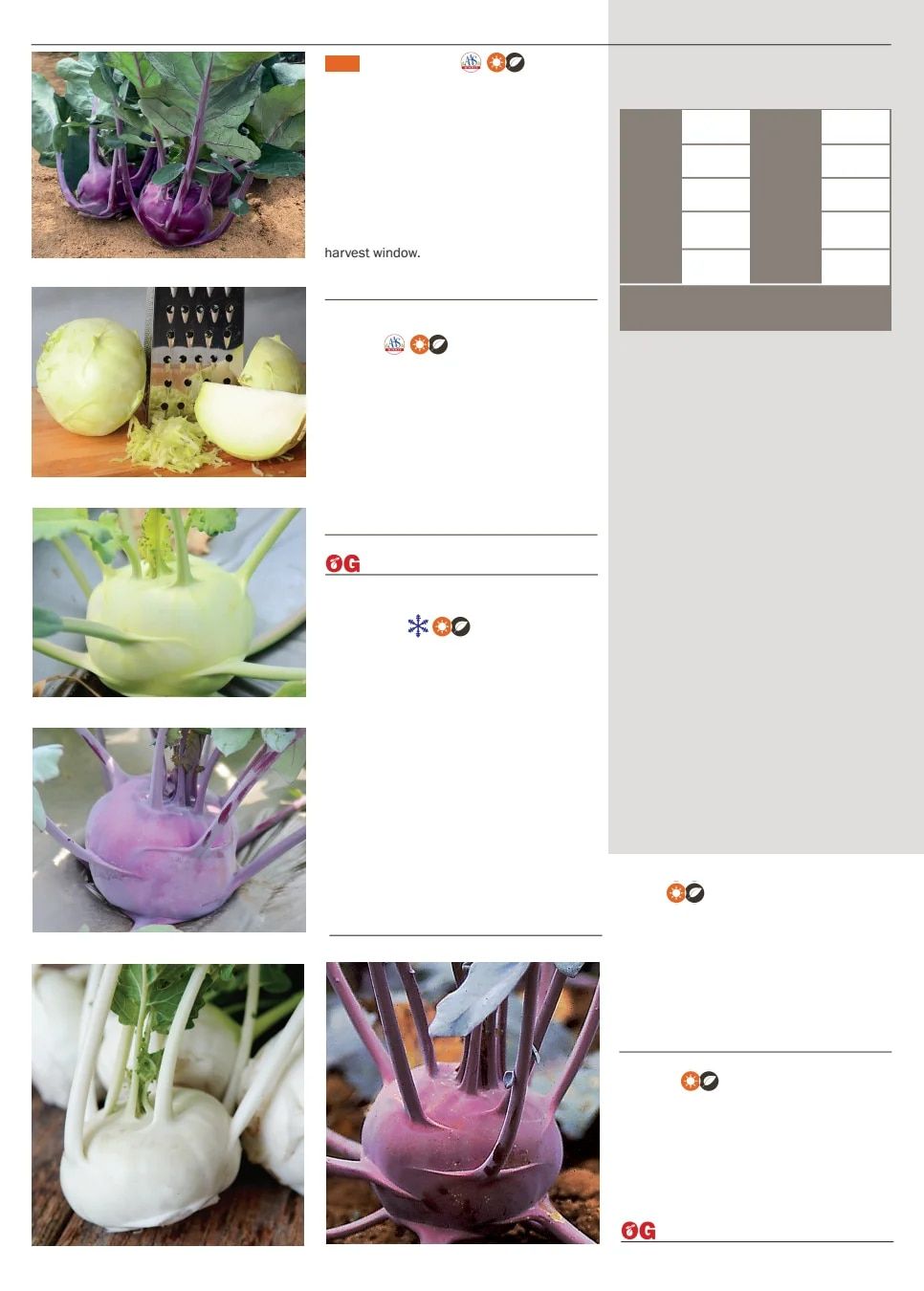 Territorial Seed Spring Catalog Weekly Ad January 1 - September 30, 2026