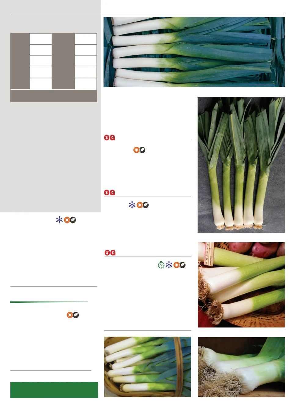 Territorial Seed Spring Catalog Weekly Ad January 1 - September 30, 2026