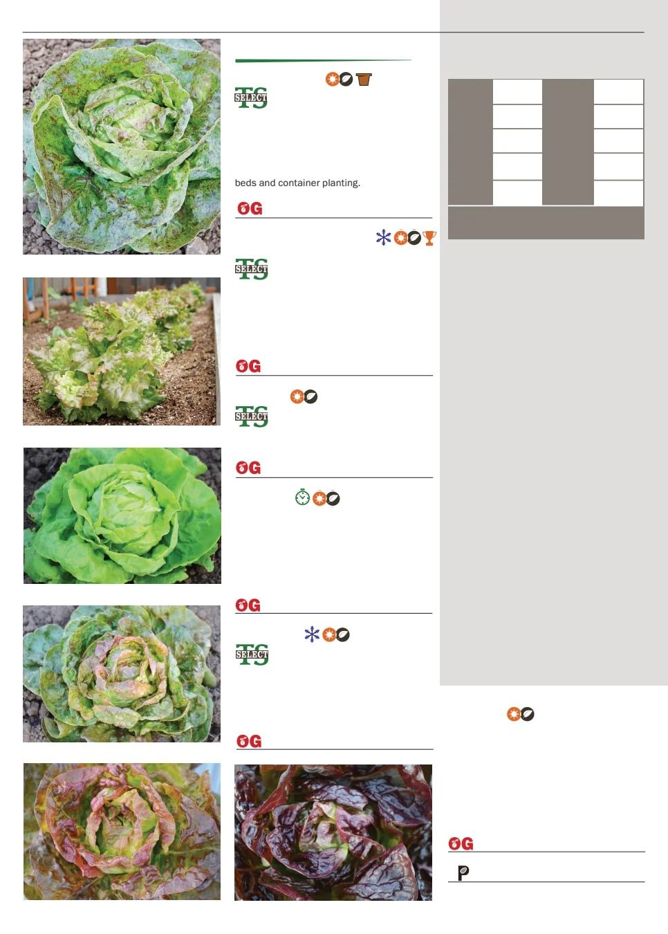 Territorial Seed Spring Catalog Weekly Ad January 1 - September 30, 2026
