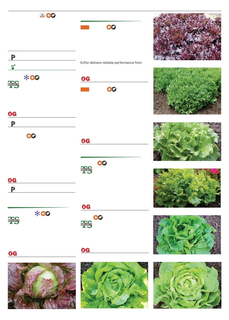 Territorial Seed Spring Catalog Weekly Ad January 1 - September 30, 2026