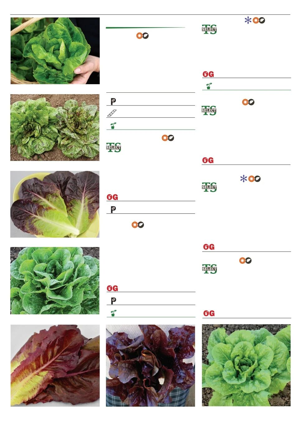 Territorial Seed Spring Catalog Weekly Ad January 1 - September 30, 2026