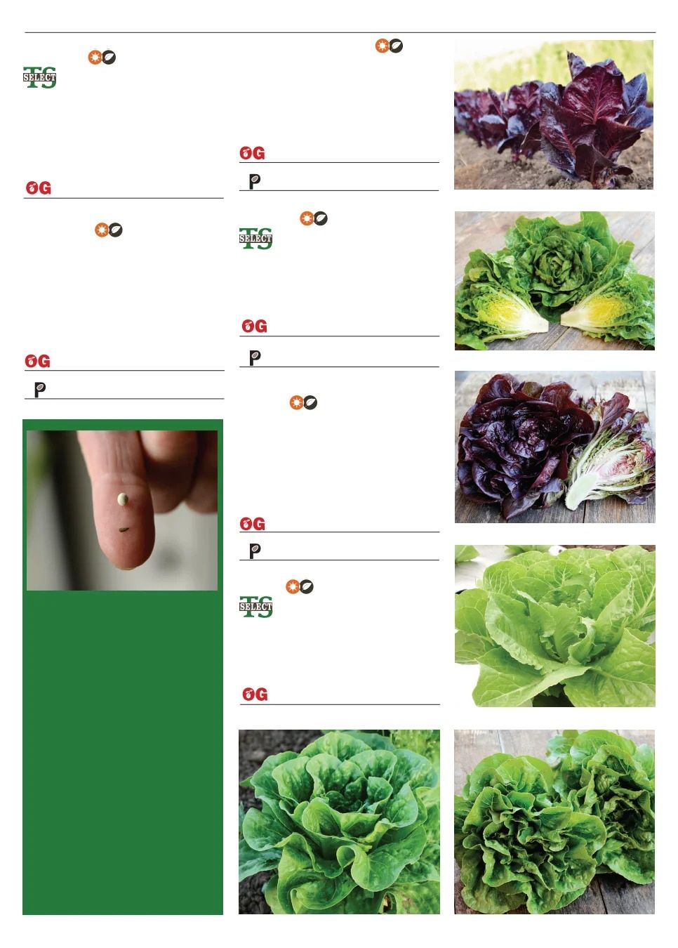 Territorial Seed Spring Catalog Weekly Ad January 1 - September 30, 2026