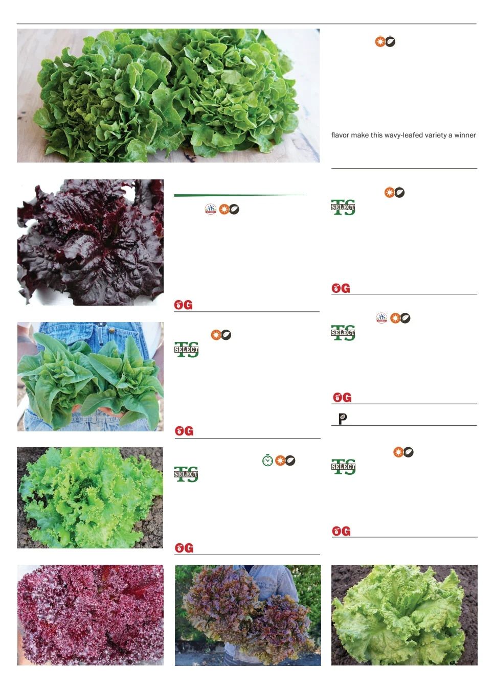 Territorial Seed Spring Catalog Weekly Ad January 1 - September 30, 2026