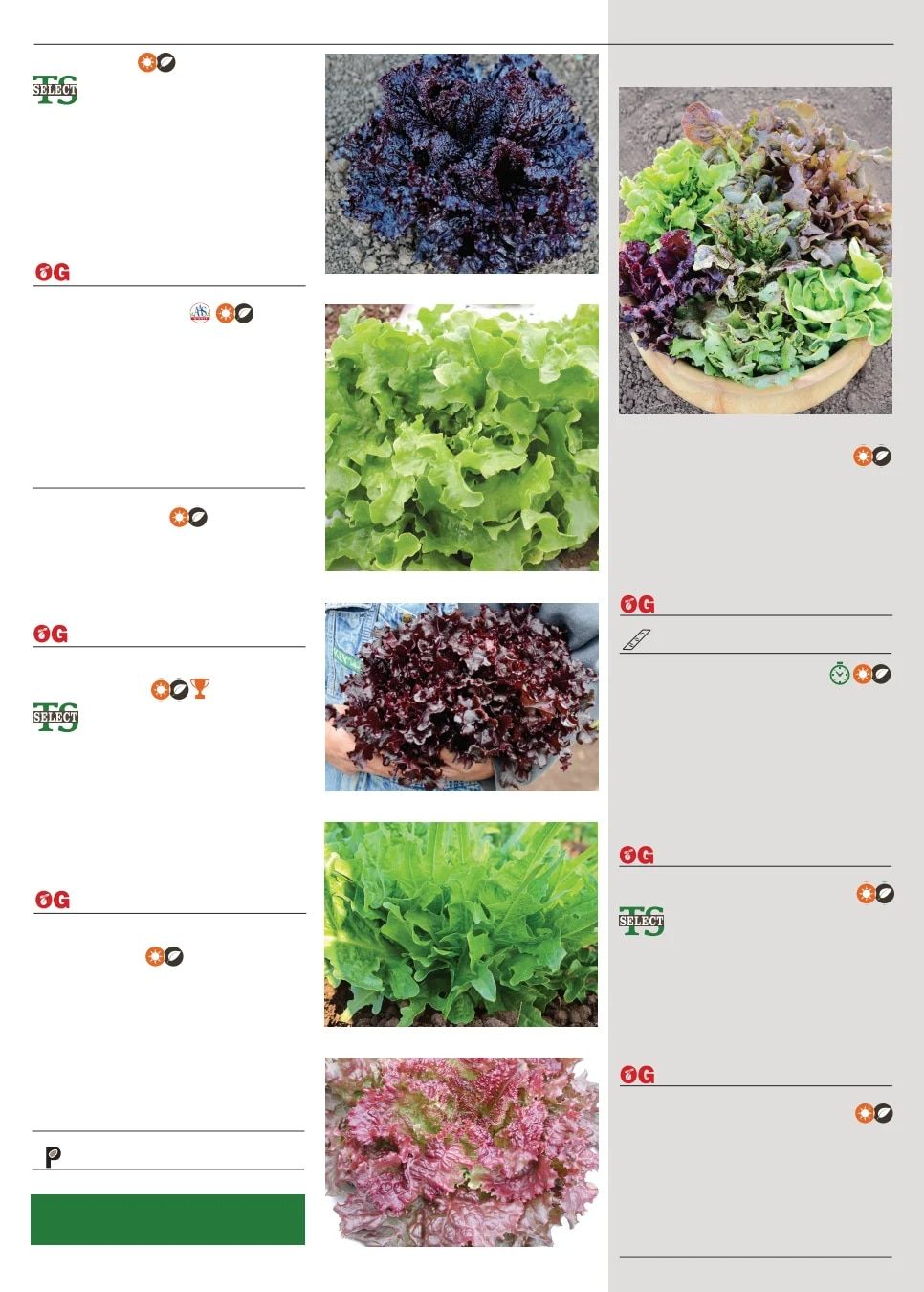 Territorial Seed Spring Catalog Weekly Ad January 1 - September 30, 2026
