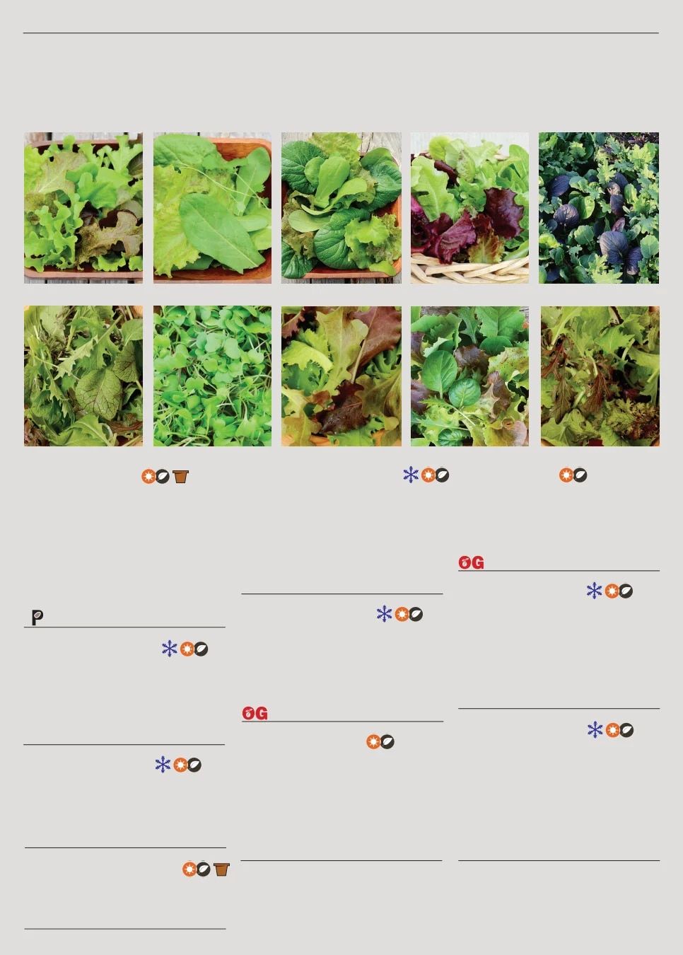 Territorial Seed Spring Catalog Weekly Ad January 1 - September 30, 2026