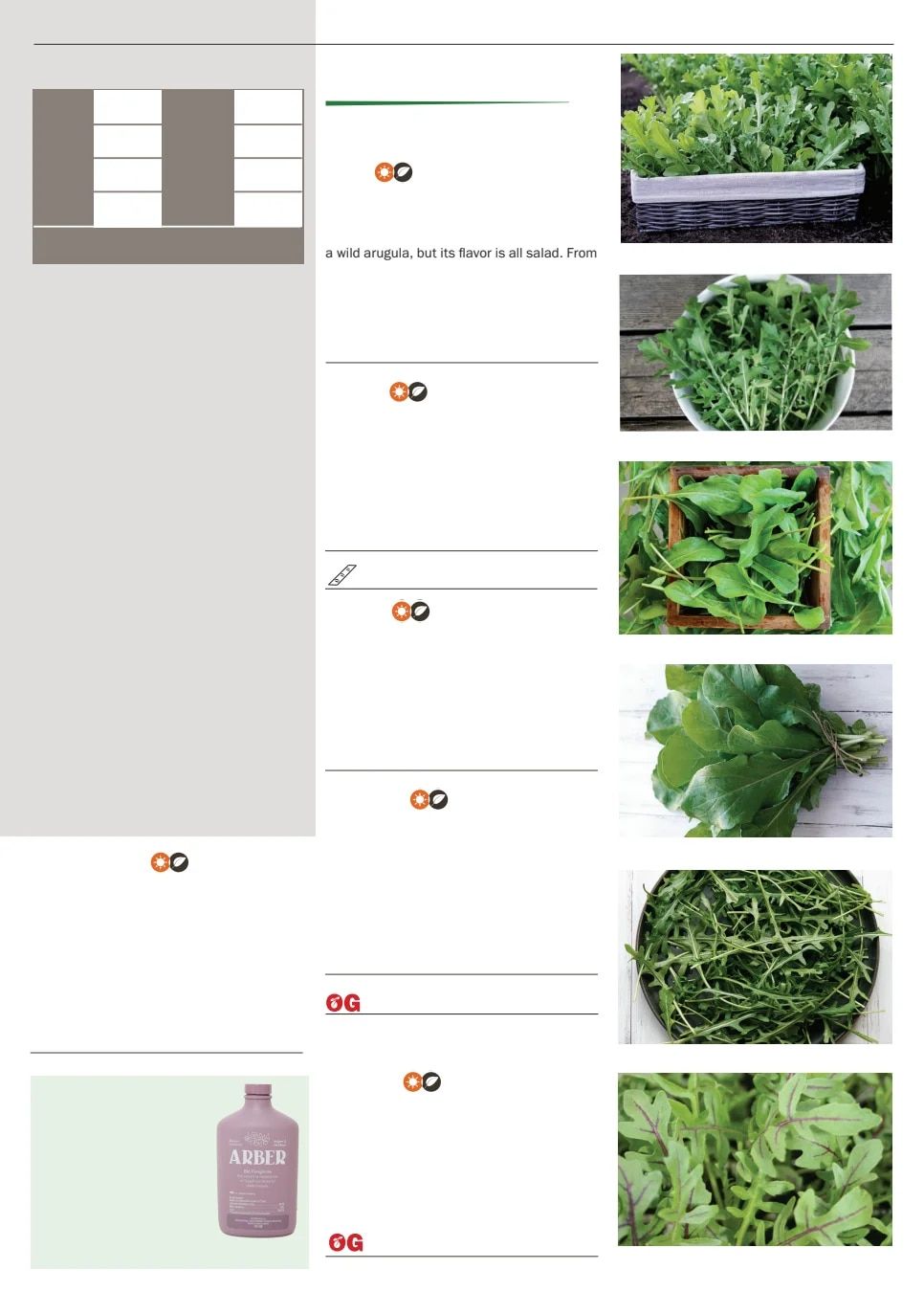 Territorial Seed Spring Catalog Weekly Ad January 1 - September 30, 2026