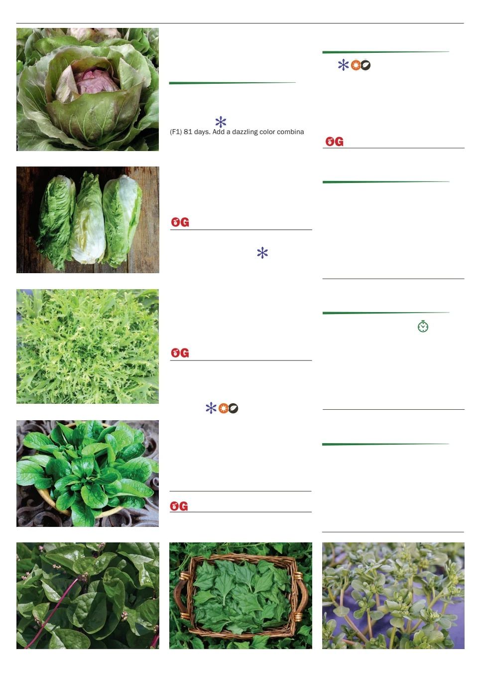 Territorial Seed Spring Catalog Weekly Ad January 1 - September 30, 2026