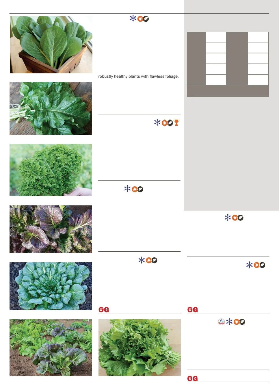Territorial Seed Spring Catalog Weekly Ad January 1 - September 30, 2026