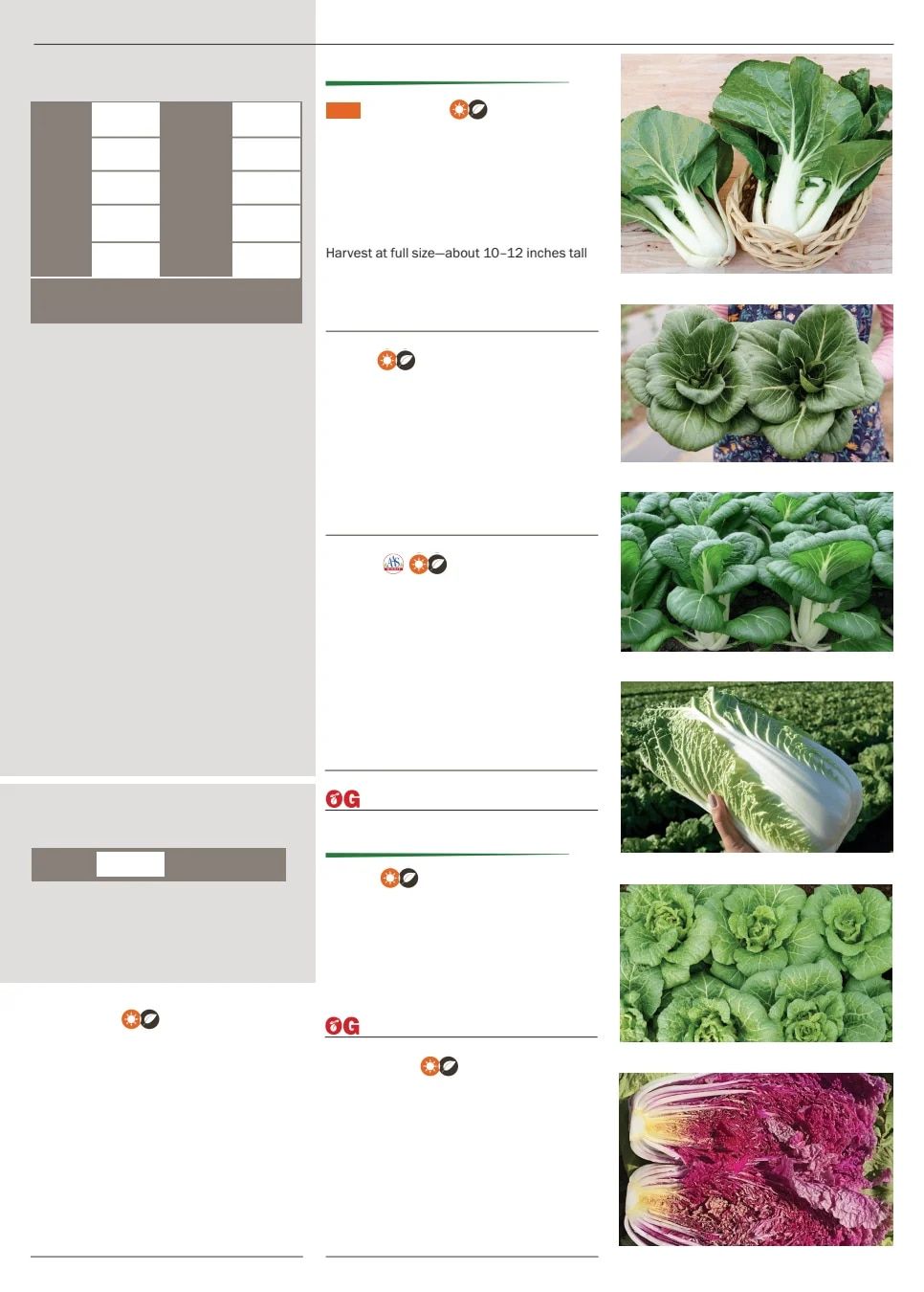Territorial Seed Spring Catalog Weekly Ad January 1 - September 30, 2026